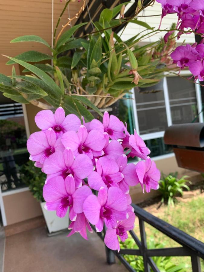 Отель The Orchid House Nong Kung Yai Экстерьер фото