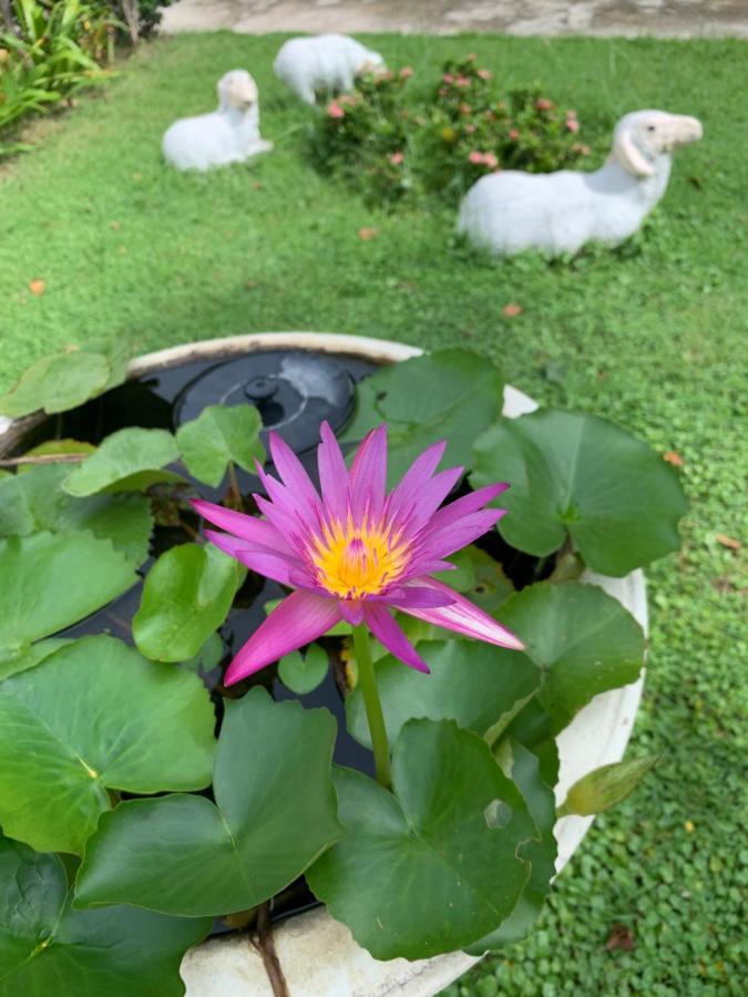 Отель The Orchid House Nong Kung Yai Экстерьер фото